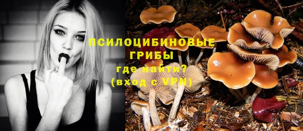 индика Липки